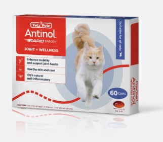 Antinol For Cats - 1 box (60 capsules)