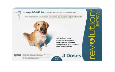 Revolution Teal Dogs (18kg - 30kg)