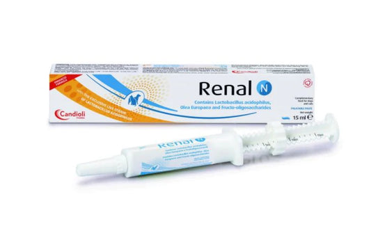 RENAL N PASTE - 1 tube (15ml)